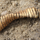 Illustration for article titled Archaeologists Baffled By 2,000 Tiny Gold Spirals Discovered In Denmark